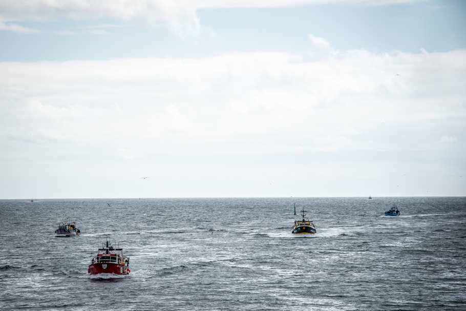 2021 07 29 web (18).jpg