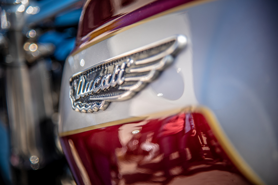 2019 02 24 (6) web.jpg