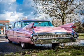 2019 03 17 (4) web.jpg